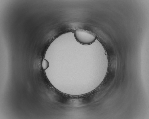 X0000113910595200910221335