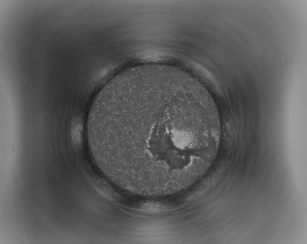 X0000113910596200910221335