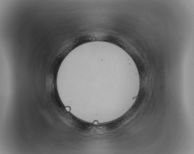 X0000113910599200910221335