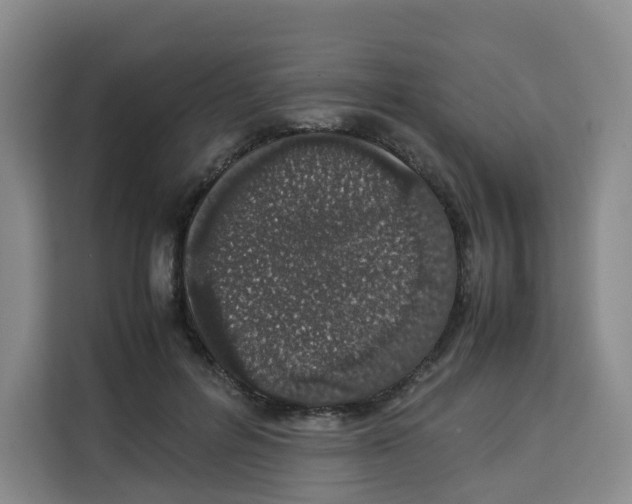 X0000113910600200910221335