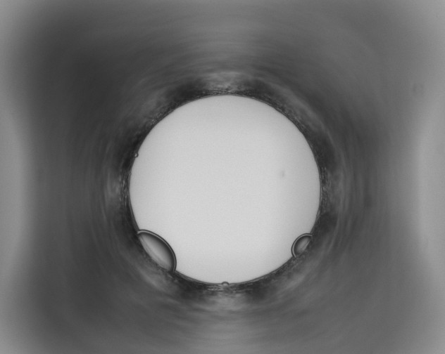X0000113910601200910221335