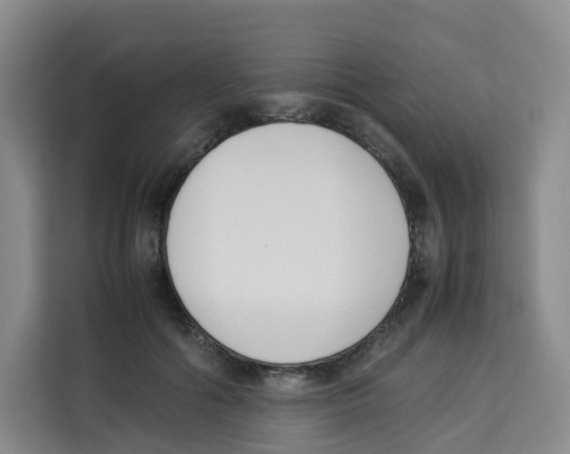 X0000113910602200910221335