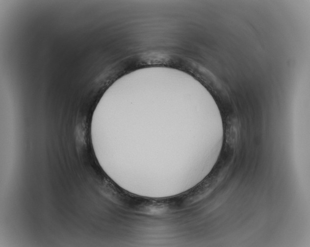 X0000113910604200910221335