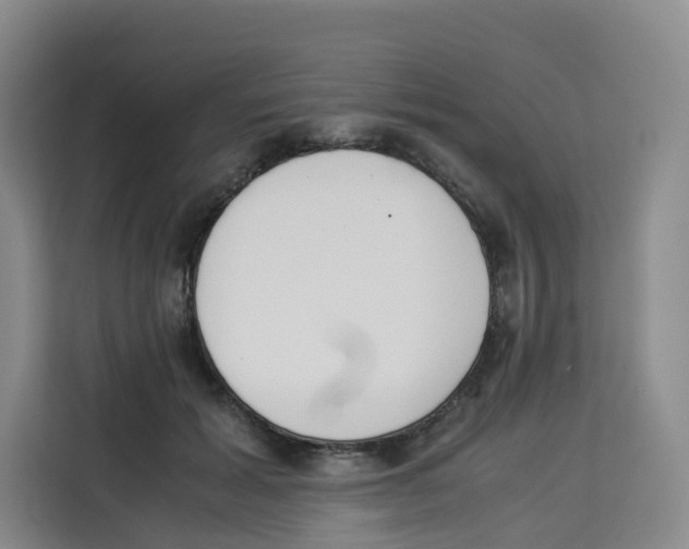 X0000113910605200910221335