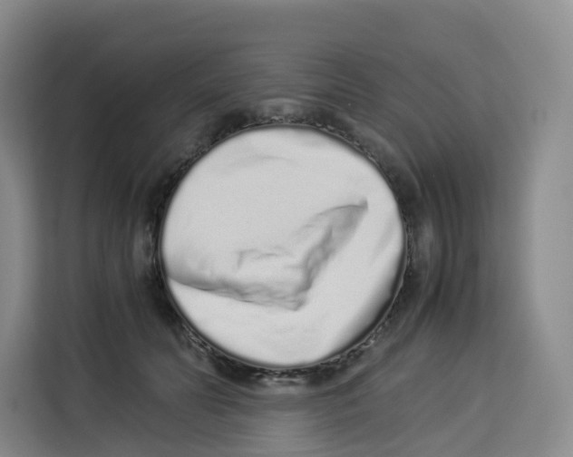 X0000113910606200910221335