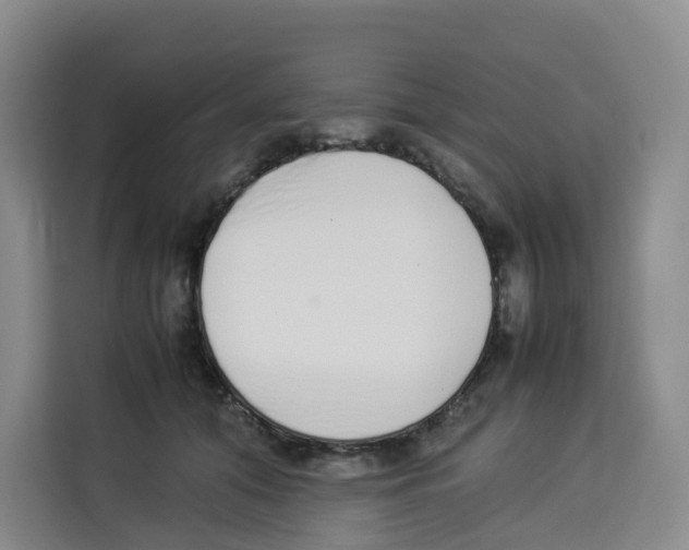 X0000113910608200910221335