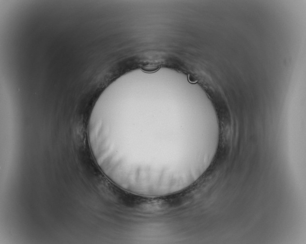X0000113910609200910221335