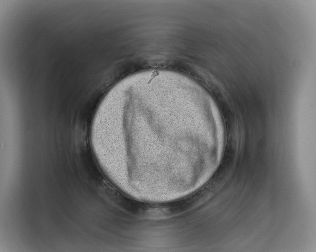 X0000113910610200910221335
