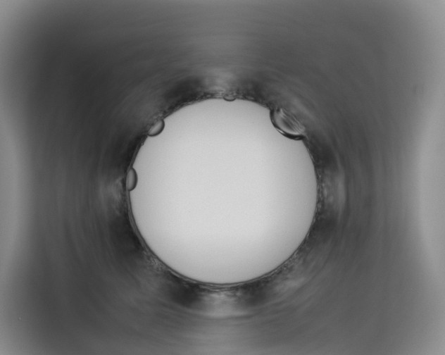 X0000113910611200910221335