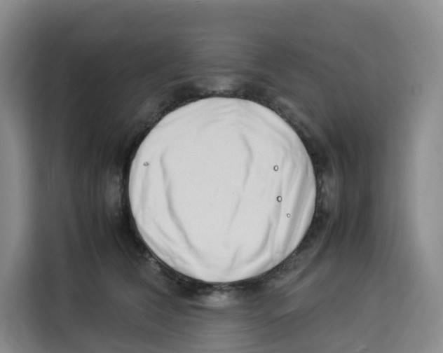 X0000113910612200910221335