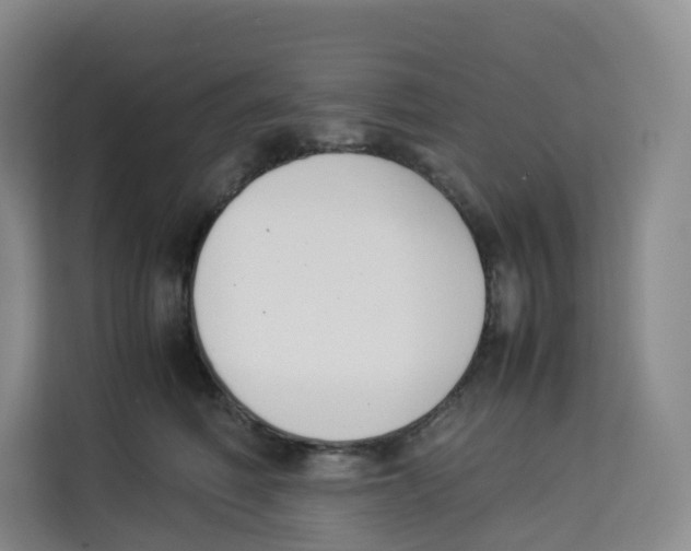 X0000113910614200910221335