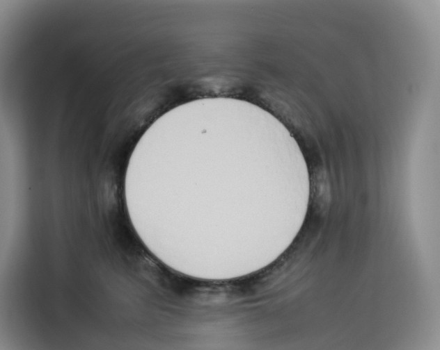 X0000113910615200910221335
