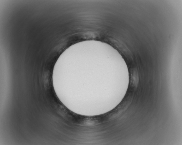X0000113910616200910221335