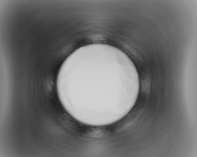 X0000113910618200910221335
