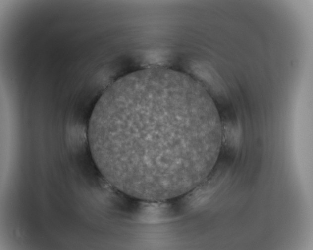 X0000113910621200910221335