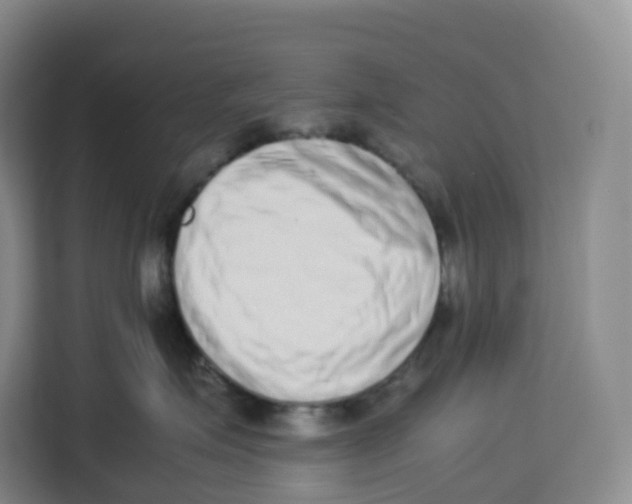X0000113910623200910221335