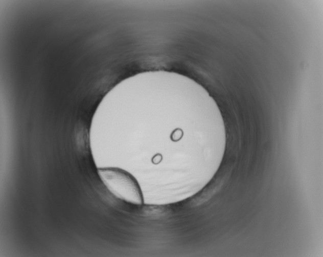 X0000113910624200910221335
