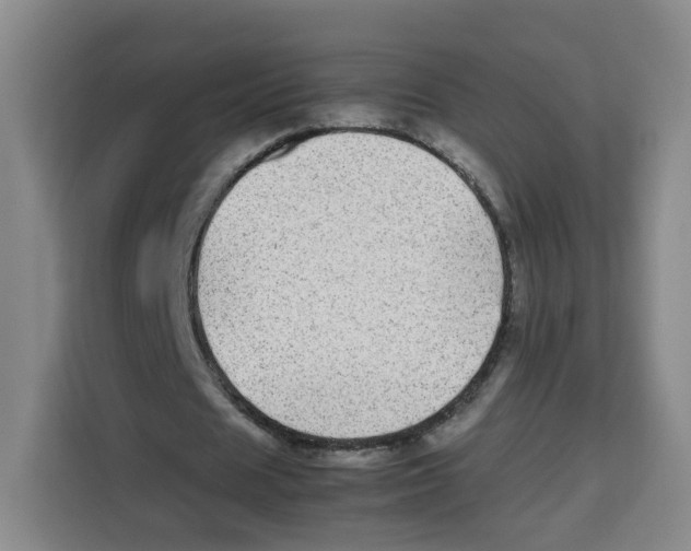 X0000113910625200910221334