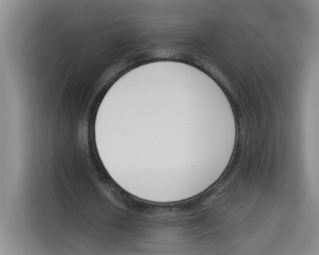 X0000113910626200910221334
