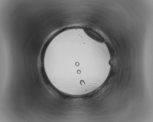X0000113910628200910221334