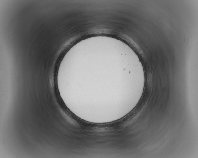 X0000113910629200910221334