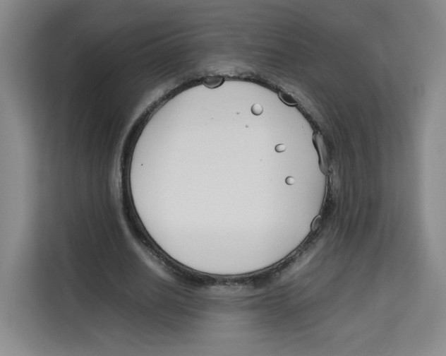 X0000113910630200910221334