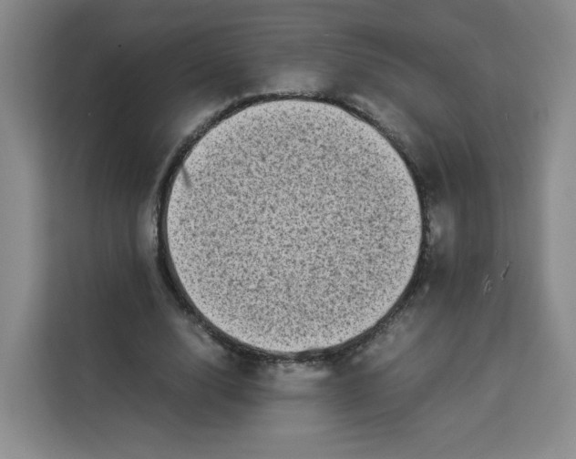 X0000113910632200910221334