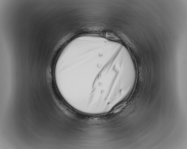 X0000113910634200910221334