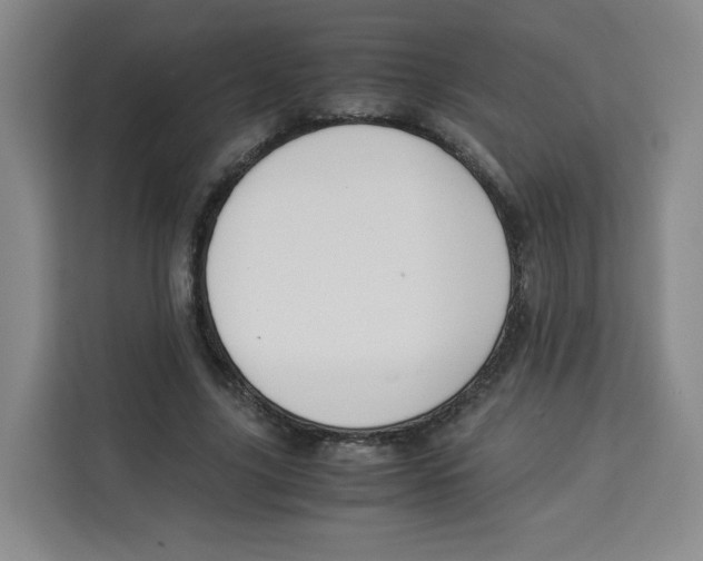 X0000113910635200910221334