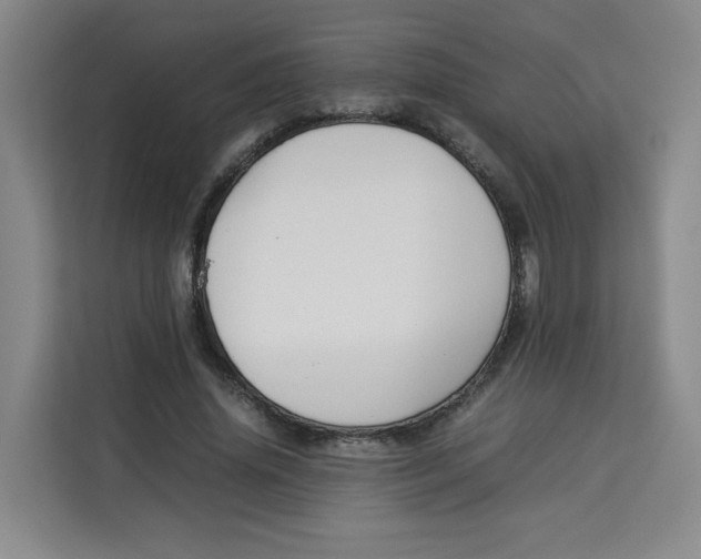 X0000113910636200910221334