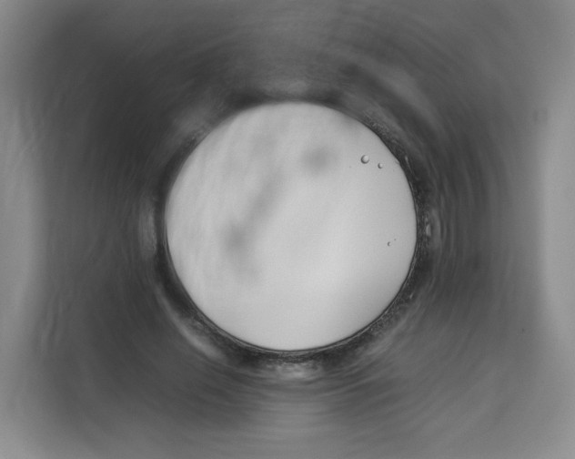 X0000113910638200910221334