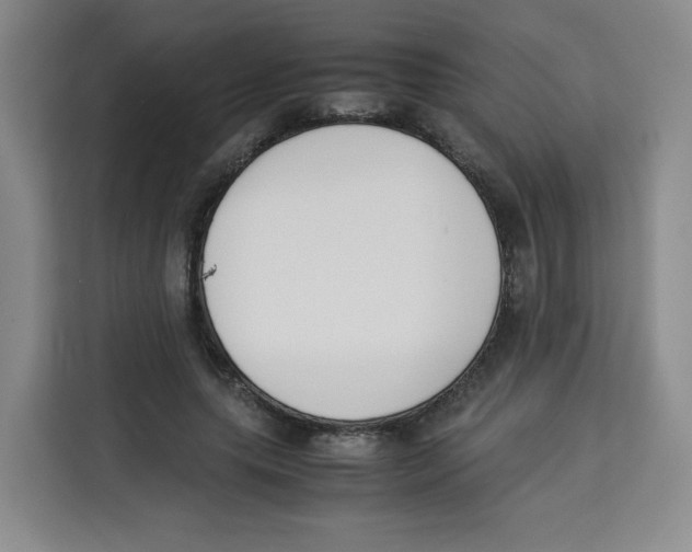 X0000113910639200910221334