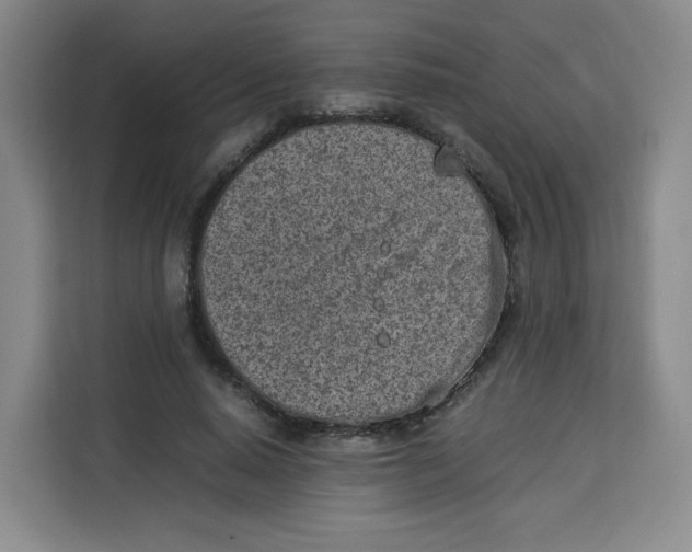 X0000113910640200910221334