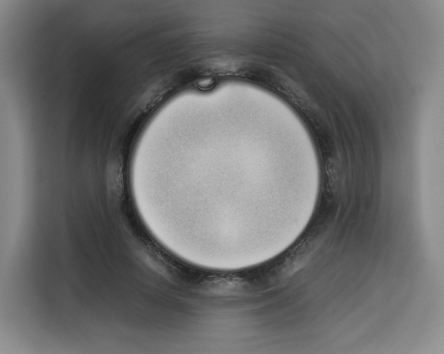 X0000113910642200910221334