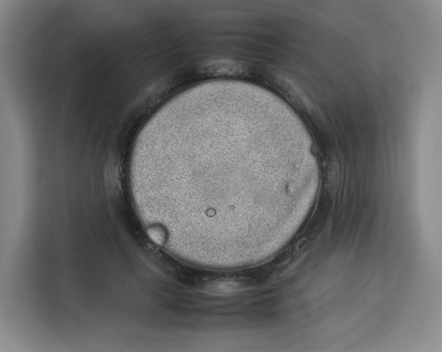 X0000113910643200910221334