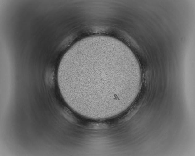 X0000113910644200910221334