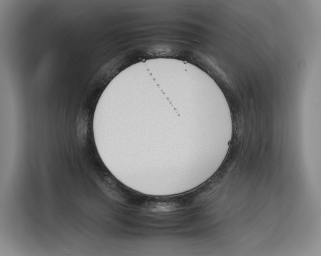 X0000113910645200910221334
