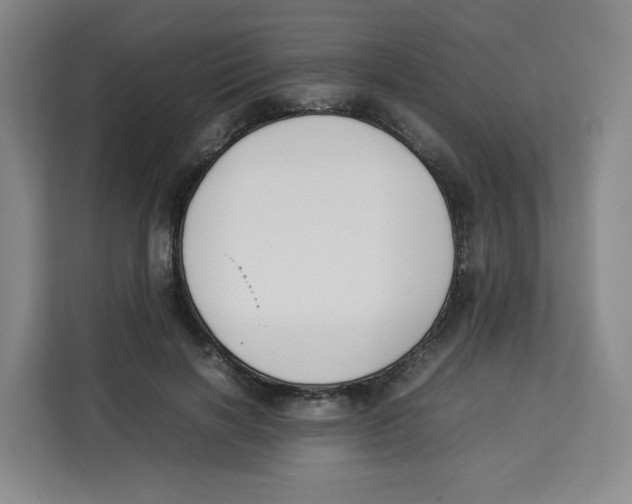X0000113910646200910221334