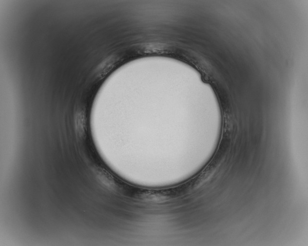 X0000113910648200910221334
