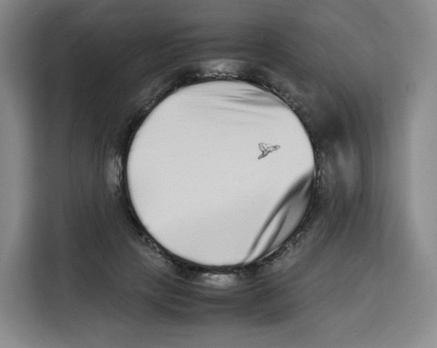 X0000113910649200910221334