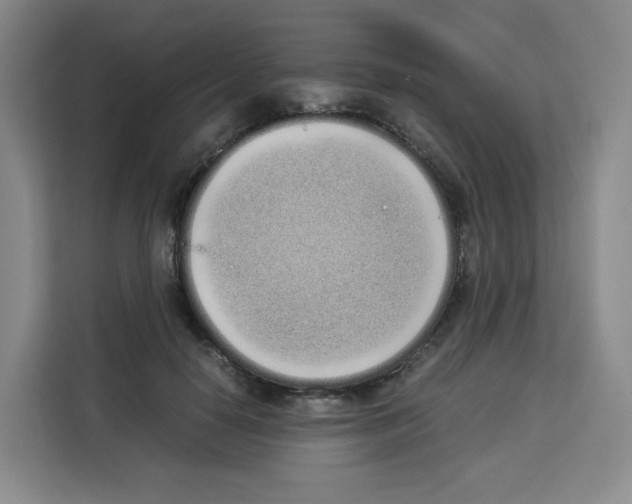 X0000113910650200910221334