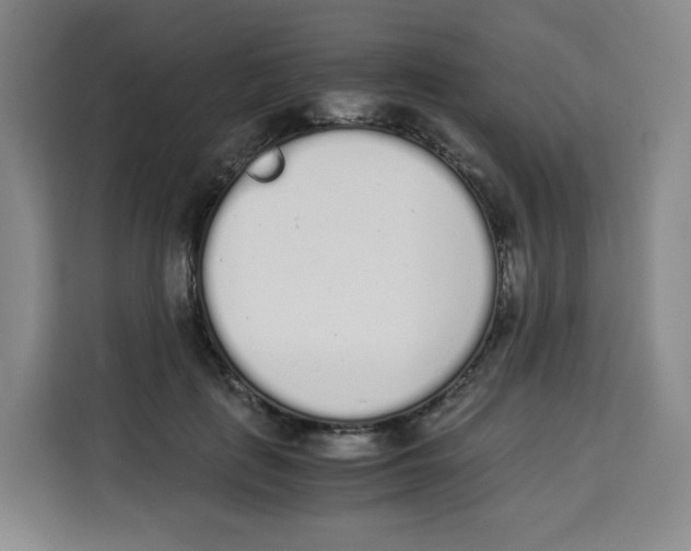 X0000113910651200910221334