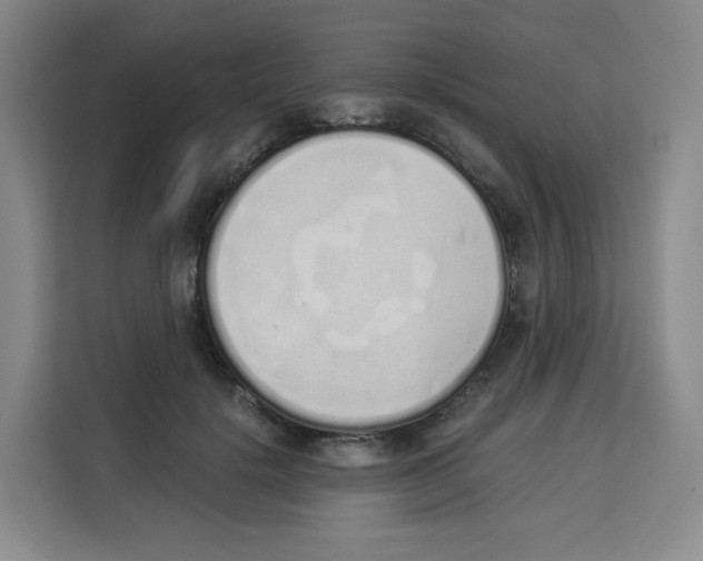 X0000113910652200910221334