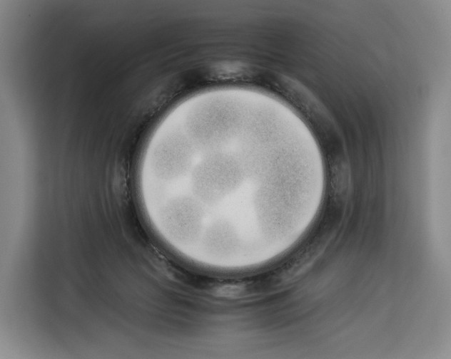 X0000113910653200910221334