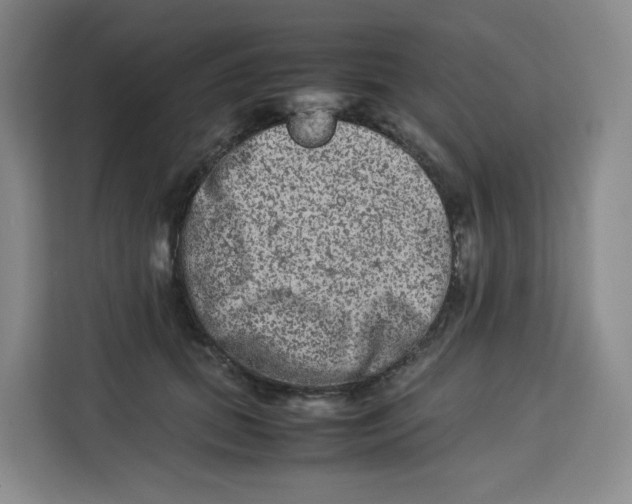 X0000113910655200910221334