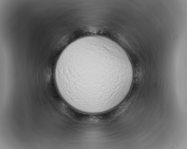X0000113910656200910221334