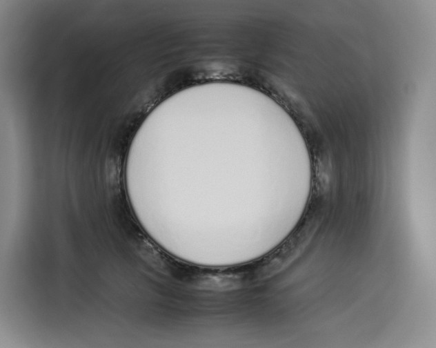 X0000113910657200910221334