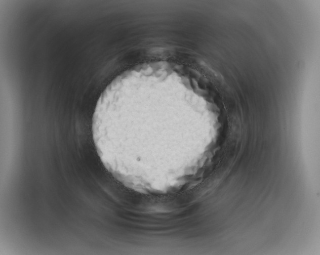 X0000113910659200910221334