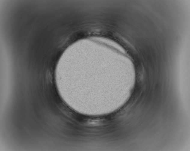 X0000113910661200910221334