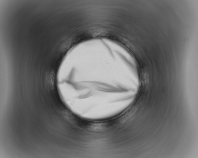 X0000113910664200910221334